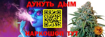 прущие крисы Нальчик